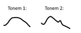 tonem_øksendal